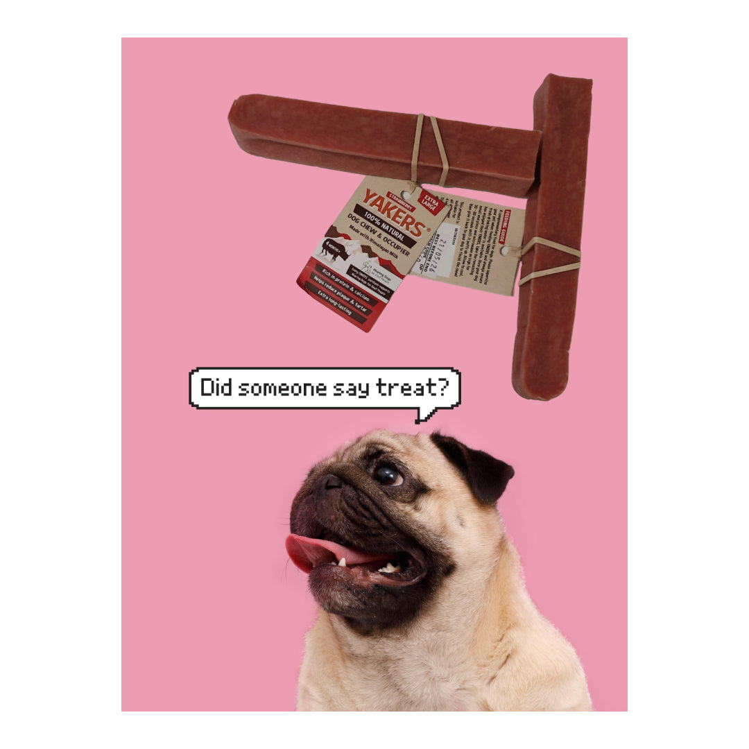 Strawberry Extra Large Yak Bone - YAKERS XL