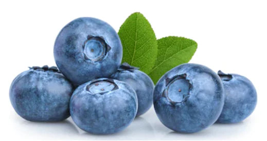Blueberry Medium Yak Bone - YAKERS