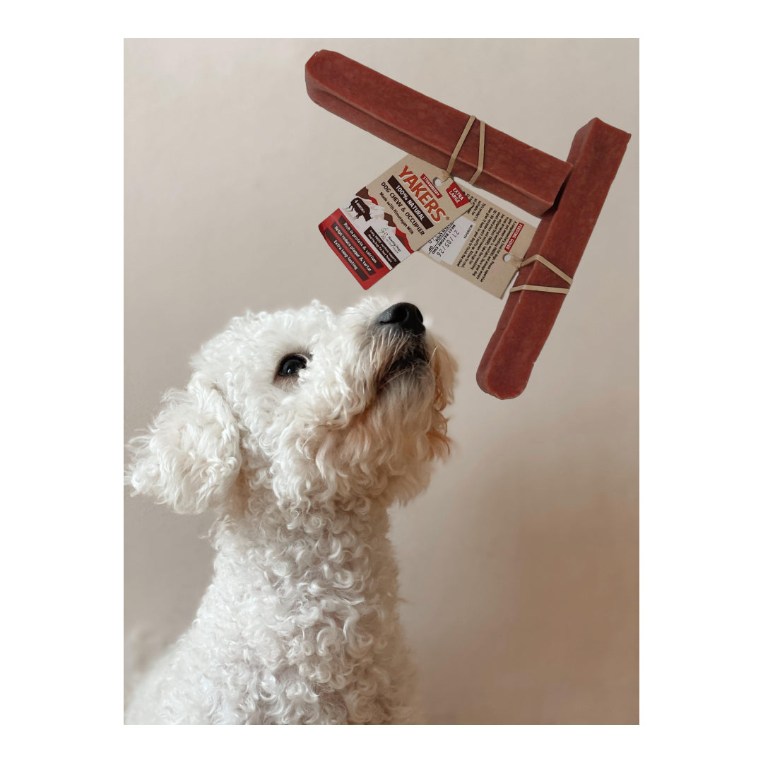 Strawberry Extra Large Yak Bone - YAKERS XL