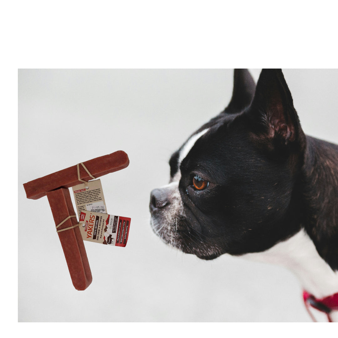 Strawberry Extra Large Yak Bone - YAKERS XL