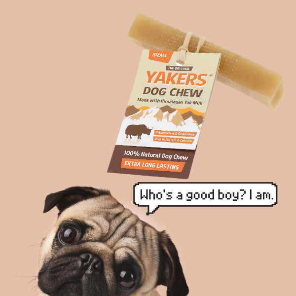 Original Small Yak Bone - YAKERS
