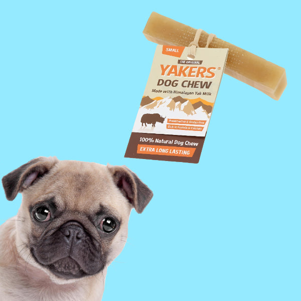 Original Small Yak Bone - YAKERS