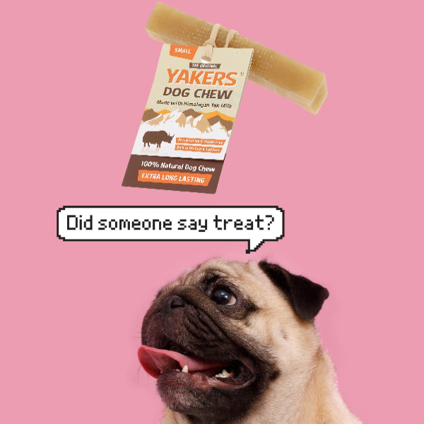 Original Small Yak Bone - YAKERS