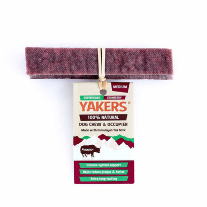 Cranberry Medium Yak Bone - YAKERS
