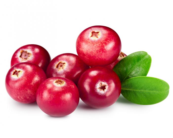Cranberry Medium Yak Bone - YAKERS